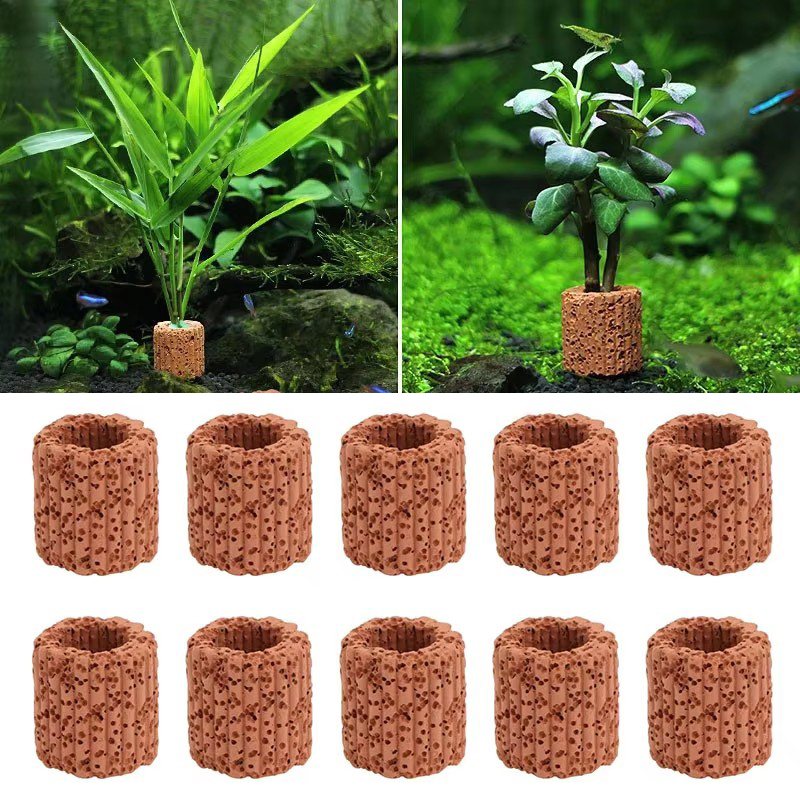 Aquarium Fish Tank Price - Fester Ring für Wasserpflanzen für Aquarien,