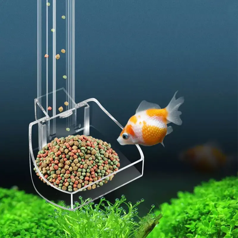 Aquarium Fish Variety - Aquarium-Futterrohr aus Acryl. Anti-Stab-Fisch-Design. Transparenter Fisch-Futterspender.