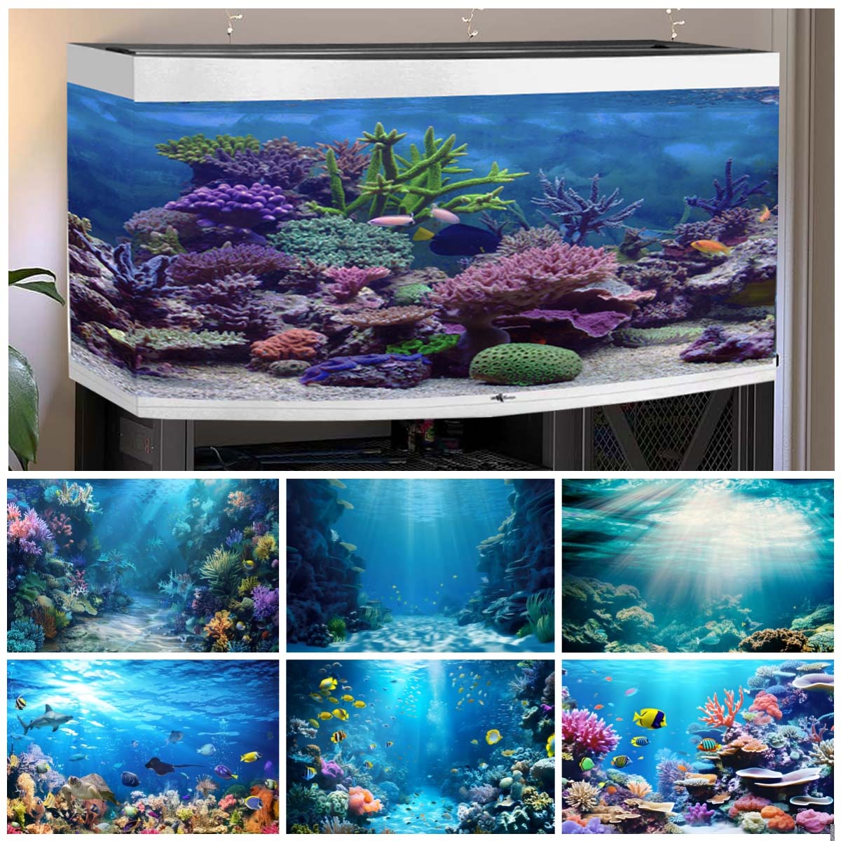 Aquarium Fish World - Unterwasserwelt-Hintergründe für Fotos, Ozeanfische, Koralle, Aquarium,