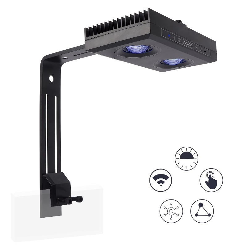 Aquarium Fish Supplier - China-Lieferant Dimmbares 95-W-Vollspektrum-blaues LED-Aquariumlicht für Korallenriff-Aquarien