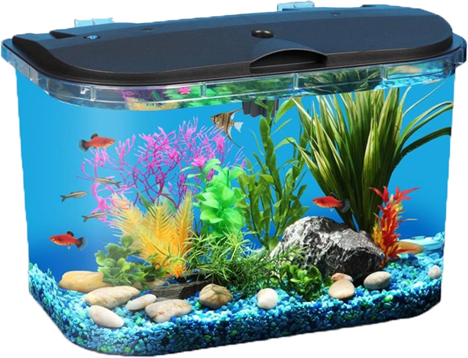 Aquarium Fish Variety - 5-Gallonen-Aquarium-Set mit LED-Beleuchtung und Powerfilter, ideal