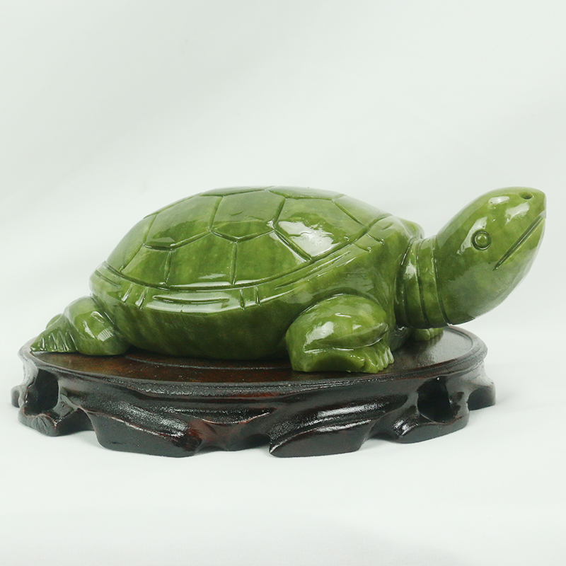 Natürliche Jade/Schildkröte Sk – Aquarium Fish Tank Price Bewertung und Preis