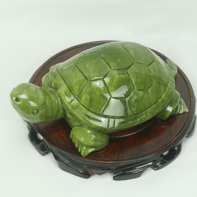 Natürliche Jade/Schildkröte Sk – Aquarium Fish Tank Price Bewertung und Preis
