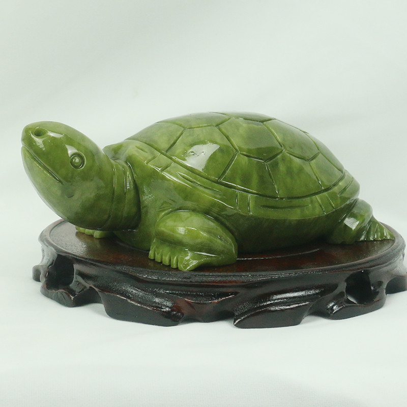 Natürliche Jade/Schildkröte Sk – Aquarium Fish Tank Price Bewertung und Preis