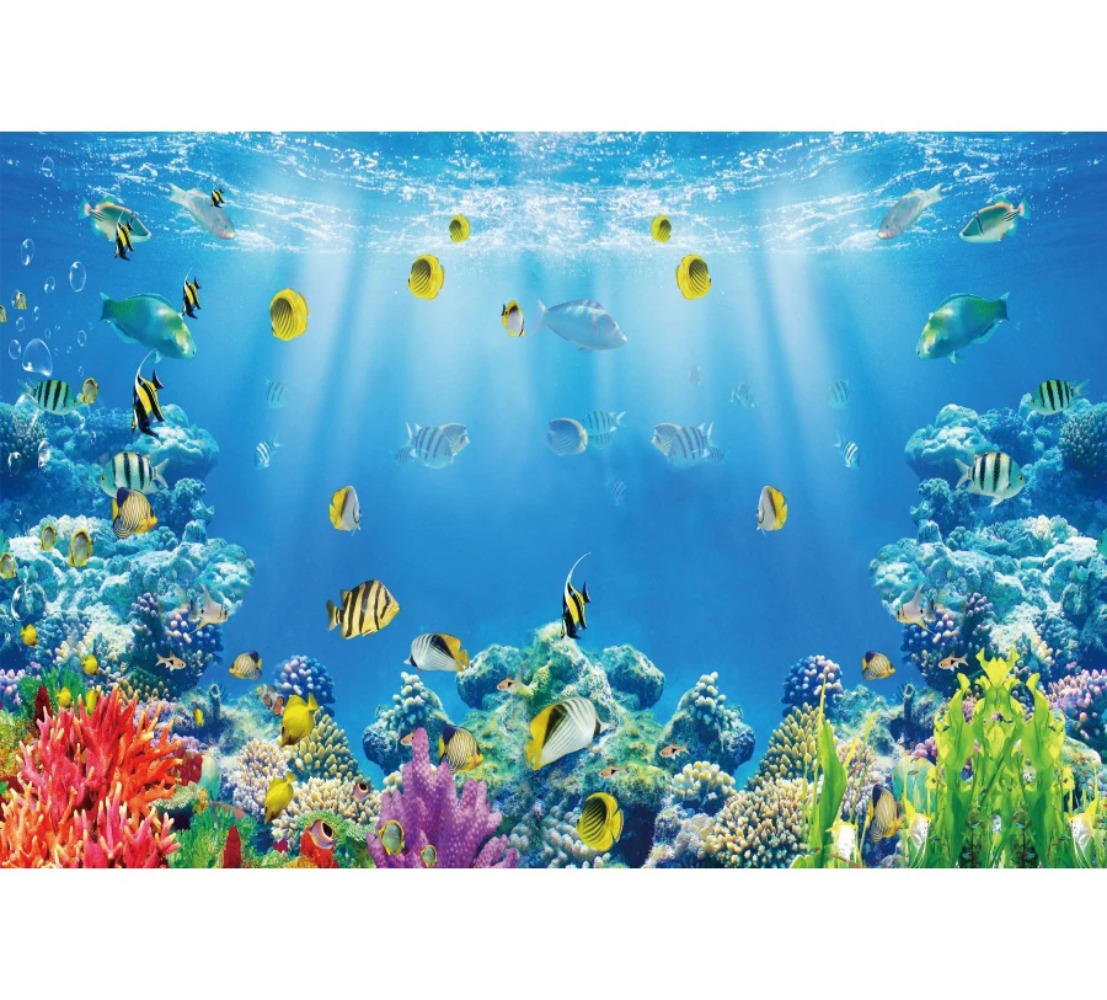 Unterwasserwelt Fisch Korallen – Aquarium Fish World Bewertung und Preis