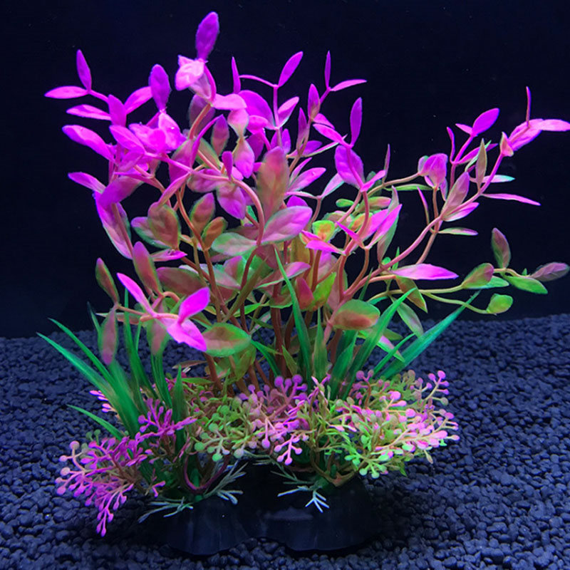 Aquarium dekoration eine vielz – Aquarium Fish Variety Bewertung und Preis