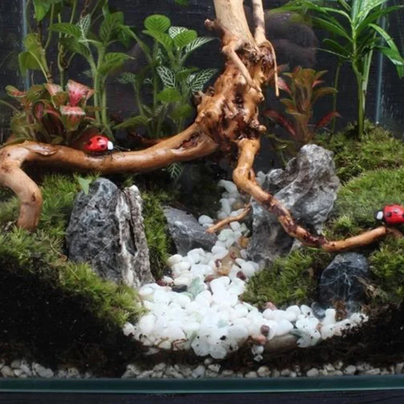 Natürlicher Baumstamm Treibhol – Aquarium Fish Tank Price Bewertung und Preis