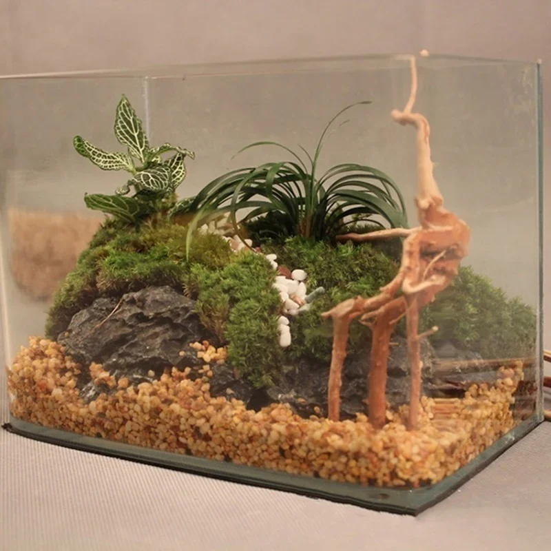 Natürlicher Baumstamm Treibhol – Aquarium Fish Tank Price Bewertung und Preis