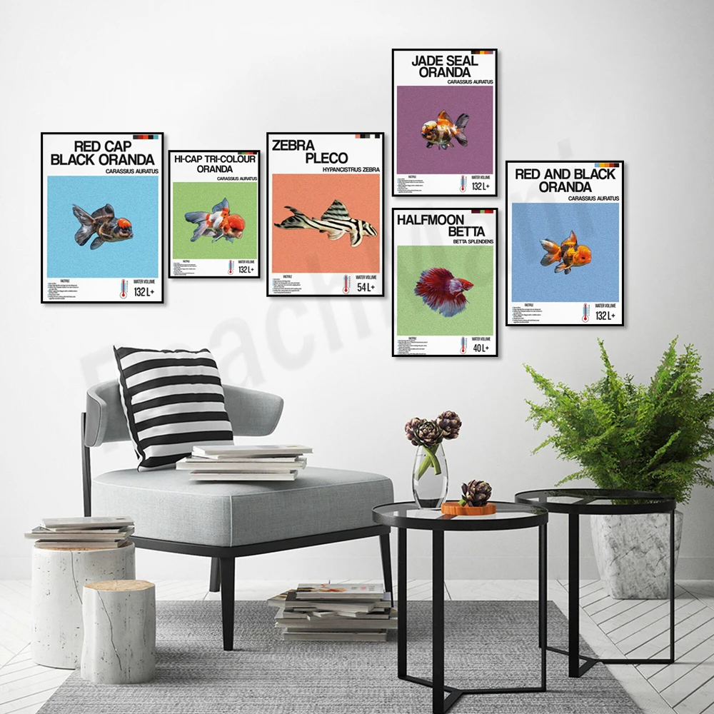 Fischinformationsdruck, Zierfi – Aquarium Fish Zebra Bewertung und Preis