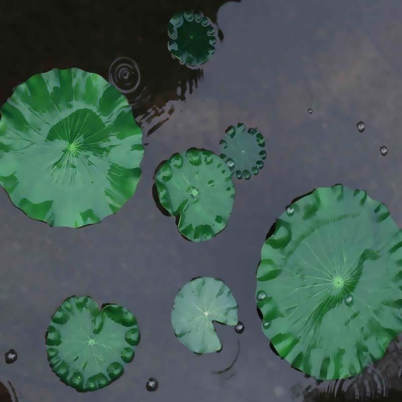 2026 Künstliche Wasserlilien-L – Aquarium Fish In Pond Bewertung und Preis