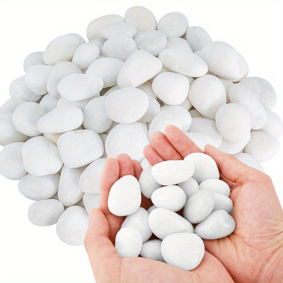 200/400g weiße hochglanzpolier – Aquarium Fish Items Bewertung und Preis