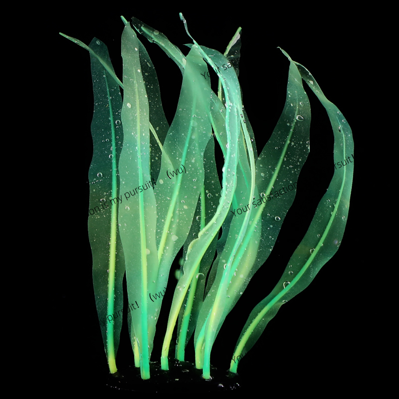 Simulierte Kelp-Pflanzendekora – Aquarium Fish World Bewertung und Preis