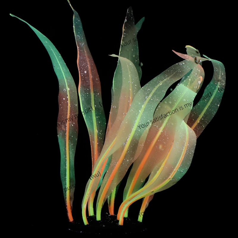 Simulierte Kelp-Pflanzendekora – Aquarium Fish World Bewertung und Preis