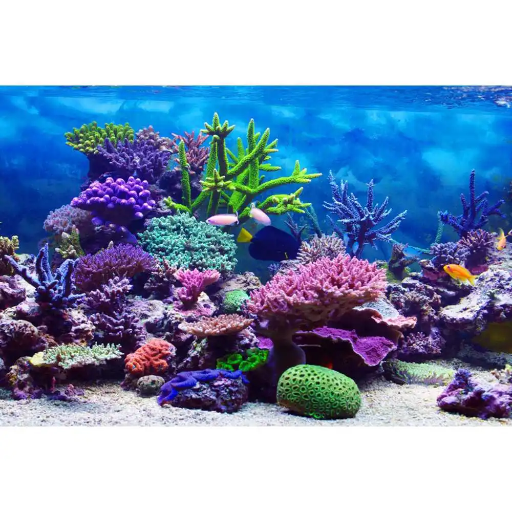 Unterwasserwelt Meeresgrund-Hi – Aquarium Fish World Bewertung und Preis