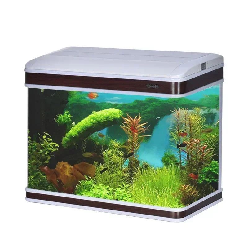 Professioneller Aquariumliefer – Aquarium Fish Supplier Bewertung und Preis
