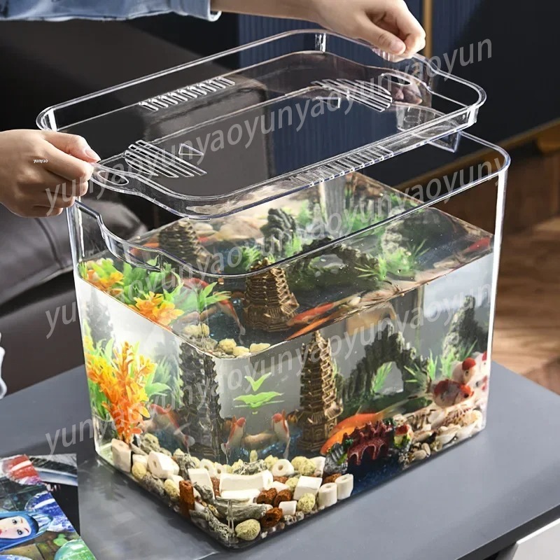 Selbstreinigendes Aquarium Kos – Aquarium Fish Supplier Bewertung und Preis
