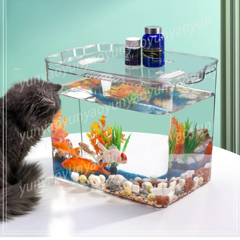 Selbstreinigendes Aquarium Kos – Aquarium Fish Supplier Bewertung und Preis