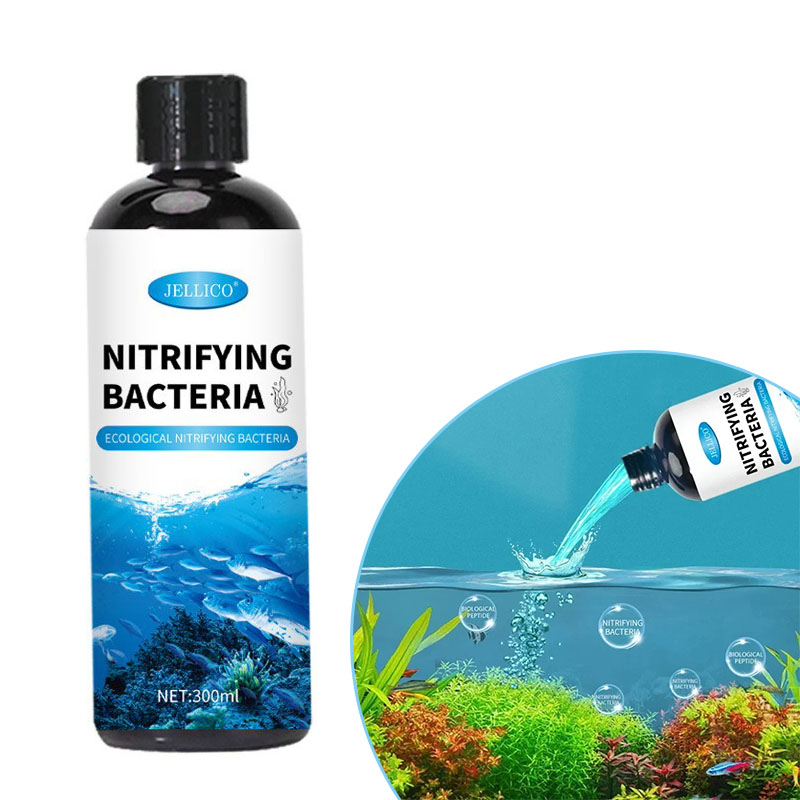 Nitrifizierende Bakterien Flüs – Aquarium Fish Items Bewertung und Preis