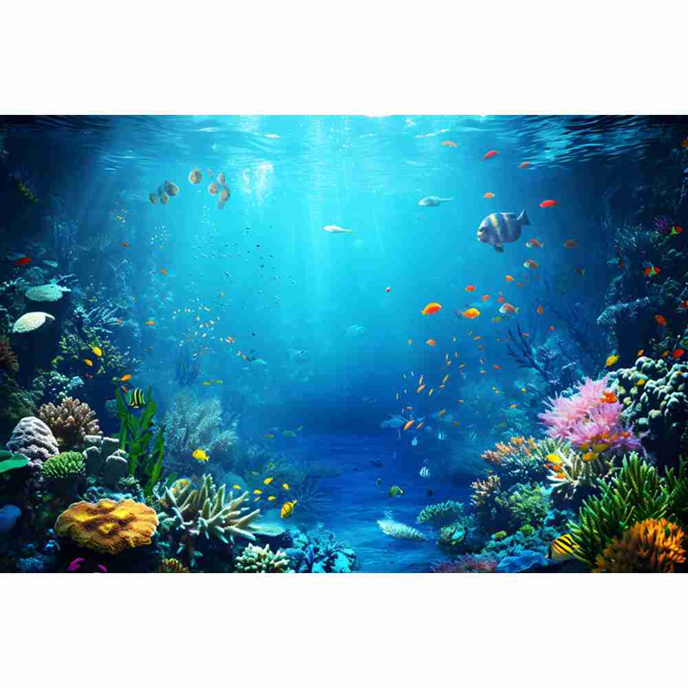 Unterwasser Ozean Welt Fotogra – Aquarium Fish World Bewertung und Preis