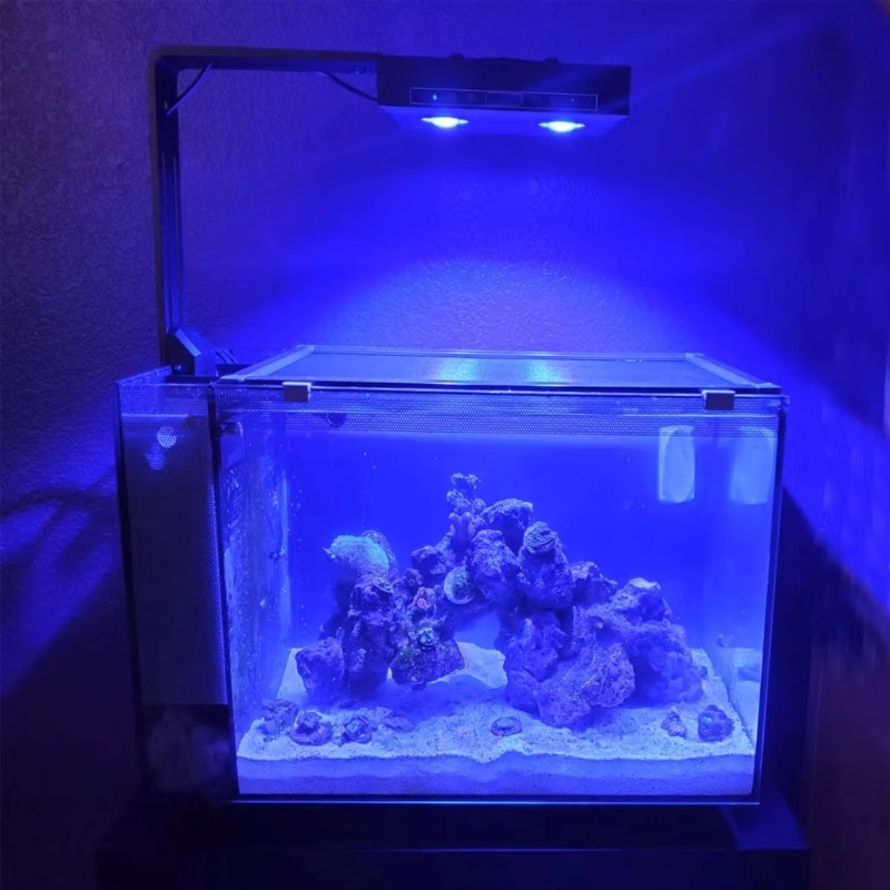 China-Lieferant Dimmbares 95-W – Aquarium Fish Supplier Bewertung und Preis