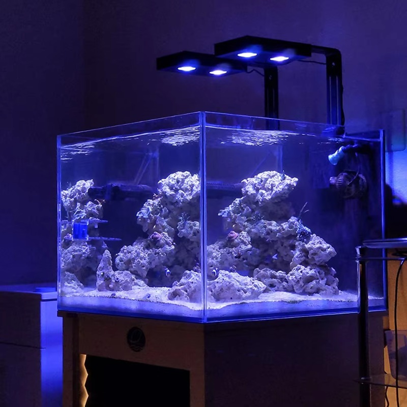 China-Lieferant Dimmbares 95-W – Aquarium Fish Supplier Bewertung und Preis