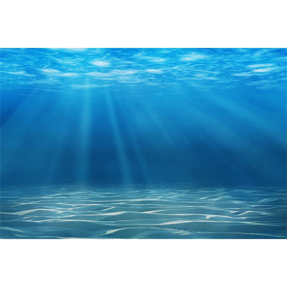 Unterwasserwelt Meeresboden Fo – Aquarium Fish World Bewertung und Preis