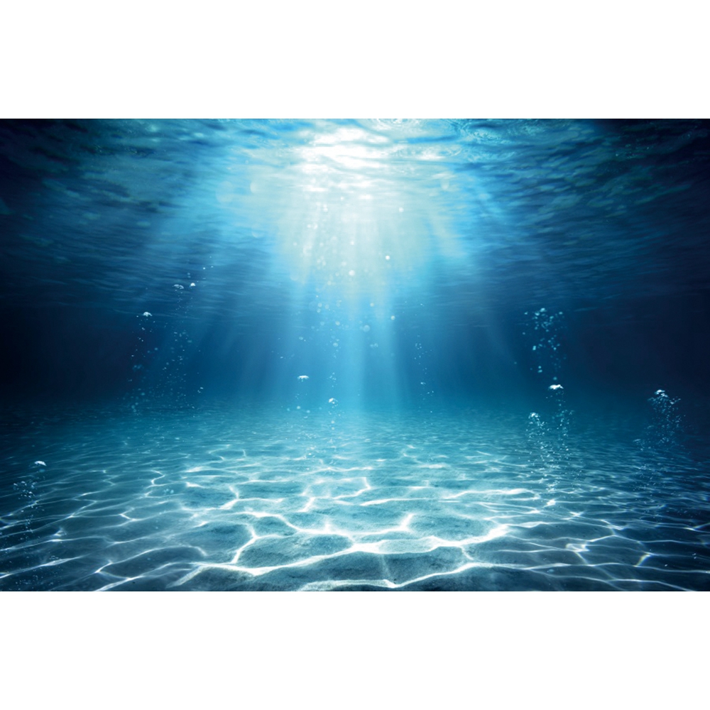 Unterwasserwelt Meeresboden Fo – Aquarium Fish World Bewertung und Preis