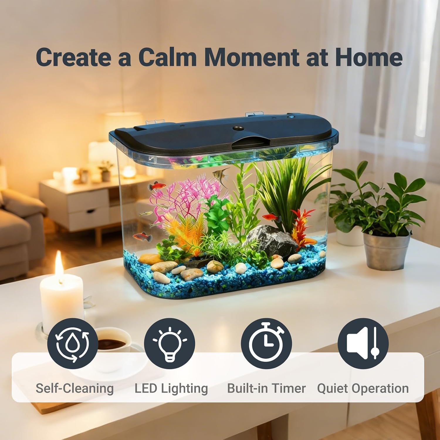 5-Gallonen-Aquarium-Set mit LE – Aquarium Fish Variety Bewertung und Preis