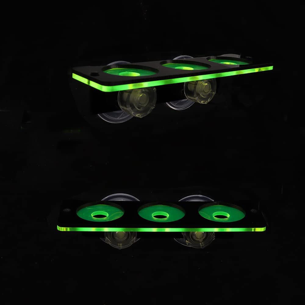 Fluoreszierende Korallen Frag  – Aquarium Fish Tank Price Bewertung und Preis